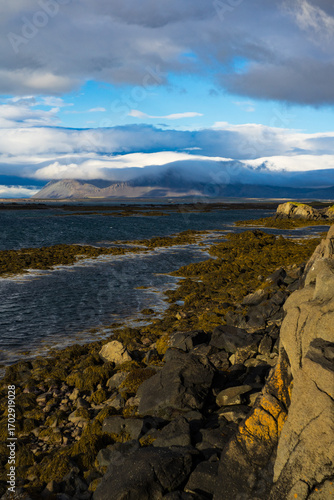 Wallpaper Mural Rocky Coastline with Ocean Waves and Mountains in Iceland Torontodigital.ca