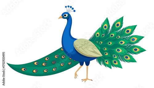 Colorful cartoon peacock
