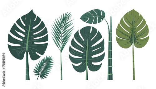 vector set of green leaves