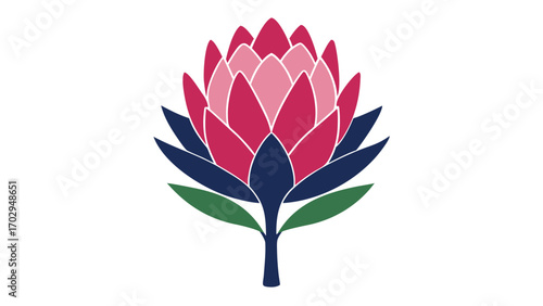 Flat Vector King Protea Flower Pink Crimson Navy Green