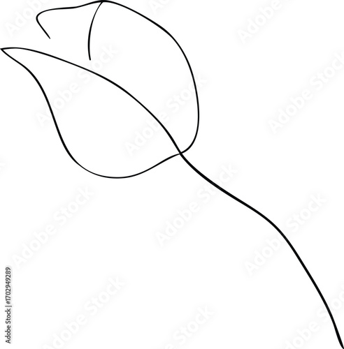 a minimal single rose sketch in vector design format