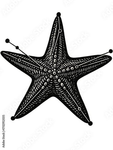 Detailed Illustration of a Starfish with Scientific Markings and Dots, Showcasing its Radial Symmetry