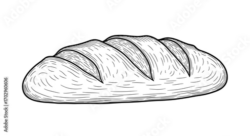 Hand-drawn loaf of bread illustration, vintage style isolated on white