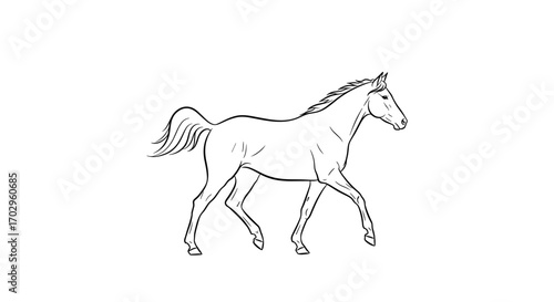 Elegant Horse Trotting Illustration with a Simple Black and White Design