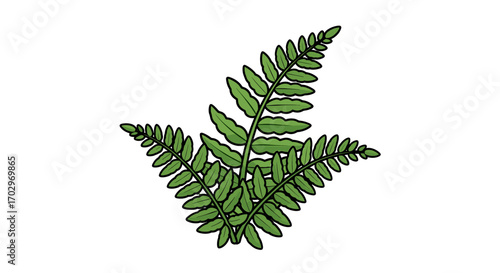 Isolated cartoon fern fronds with vibrant green leaves on white background