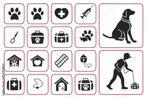 Collection of veterinary care icons featuring animal paws medical symbols and pet care equipment silhouette