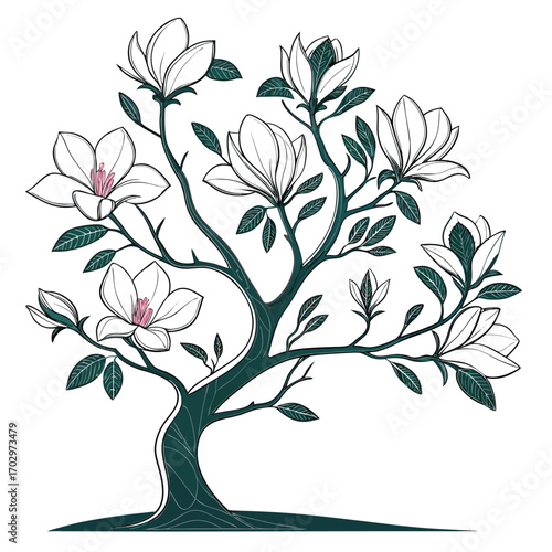 A Magnolia Tree in Bloom