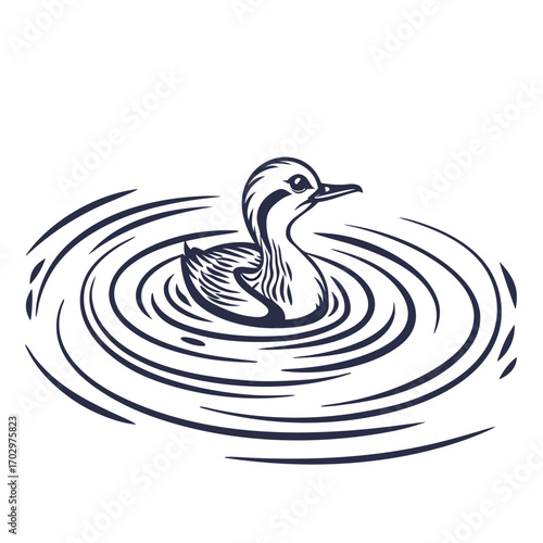 A Single Ripple in Water