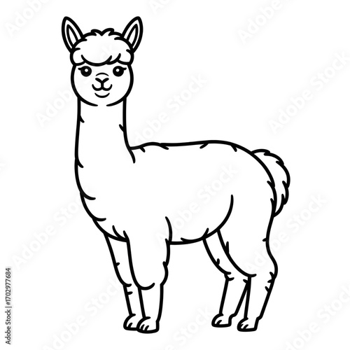 A alpaca illustration vector style coloring page