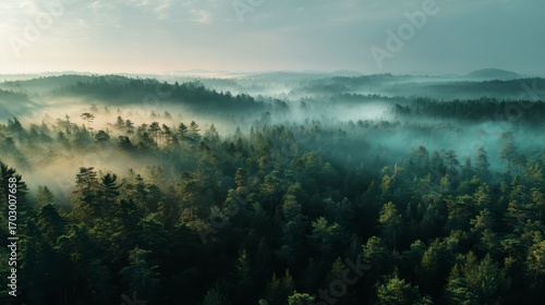Drone shot over a foggy pine forest at dawn, ethereal aesthetic, 