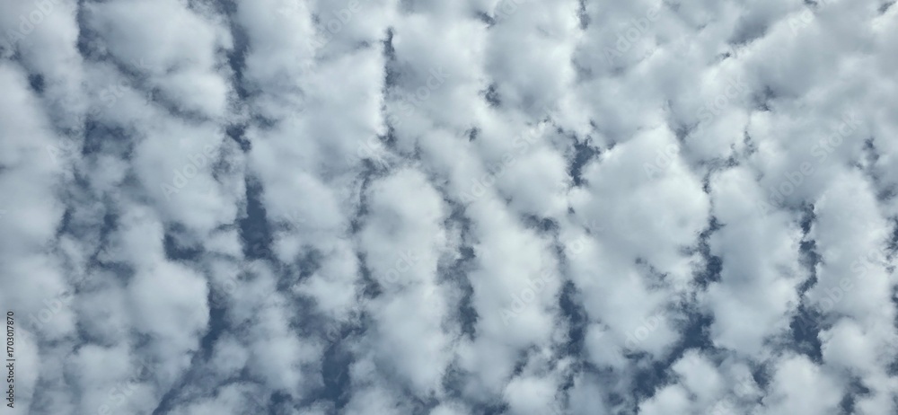 Fototapeta premium icicles on the roof