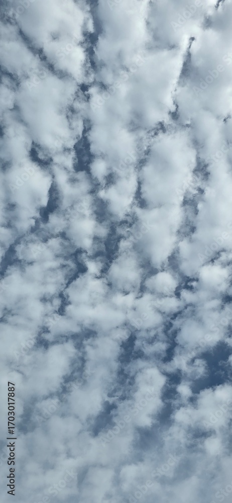 Obraz premium clouds in the sky