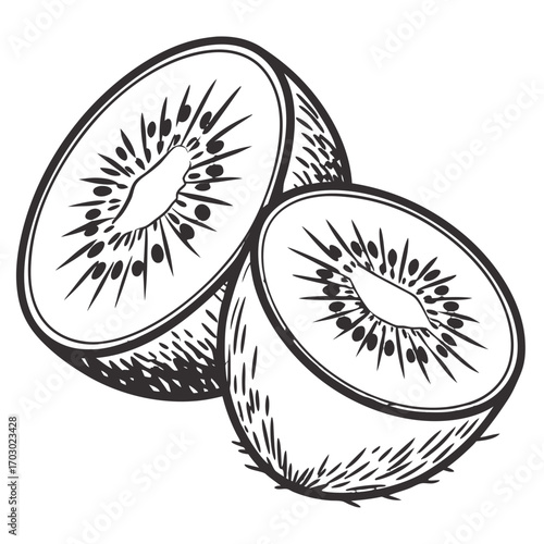 Two halves of a kiwi fruit illustration