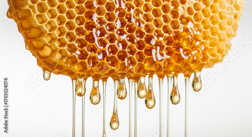 close up of a piece of honeycomb with honey dripping from it.