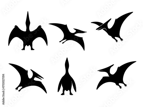 Pteranodon Silhouette Set Illustration