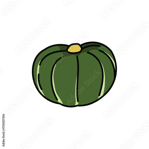Squash fruit