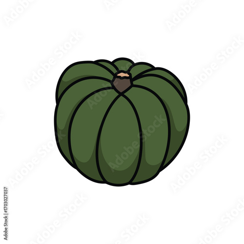 Squash fruit