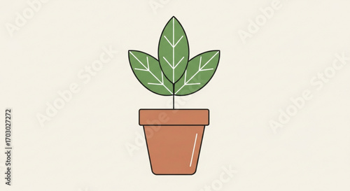 A charming houseplant in a terracotta pot, adding a touch of nature to any space