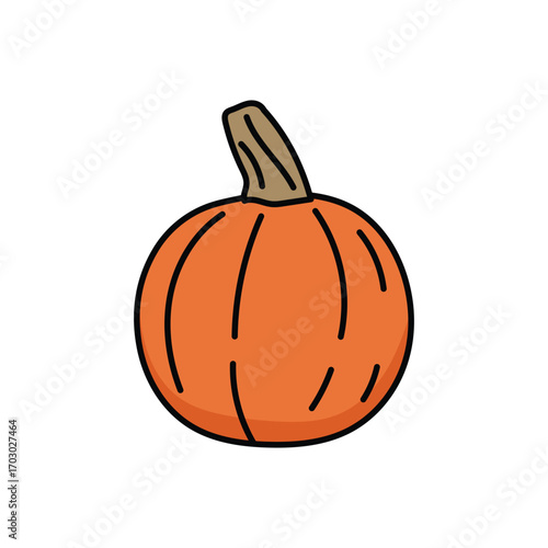 Squash fruit