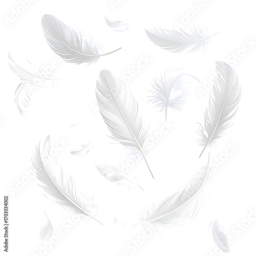 A cluster of white feathers in various sizes and positions, against a black background.  The feathers appear to be slightly textured, suggesting a realistic rendering