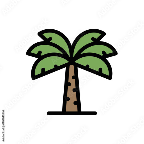 Tropical palm projects coolness sunny backdrop details