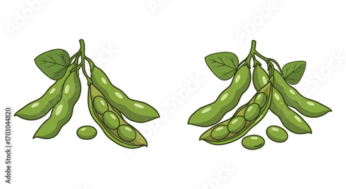 fresh green edamame pods with leaves and loose beans