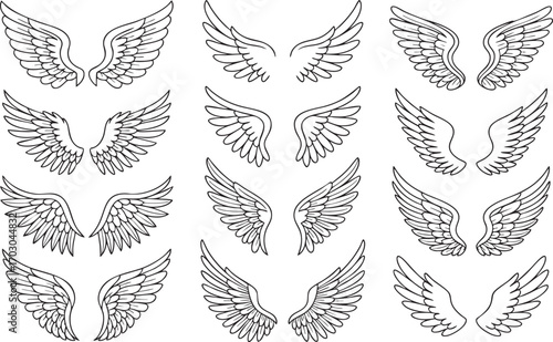 Collection of diverse hand-drawn angel wing outlines in black and white Keywords: wings, angel wings, bird wings, feather wings, outline, drawing