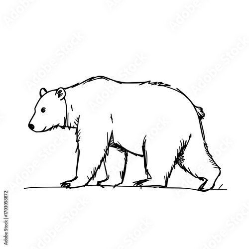 A striking bear vector that blends raw strength with clean design—perfect for tattoos, logos, or modern branding.