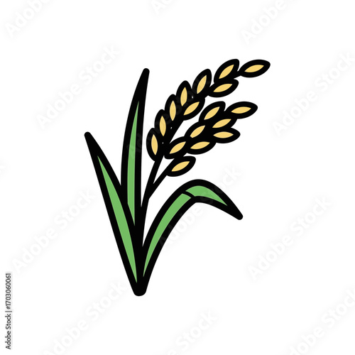 Grain stalks grow tall isolated illustration depicts flora