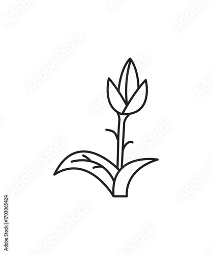 flower icon, vector best line icon.