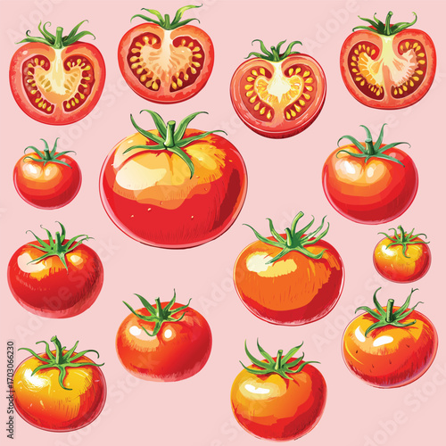 A delicious set of fresh red tomato illustrations, whole and sliced. Vibrant, hand-drawn food art perfect for recipe cards, packaging, and healthy culinary concepts.