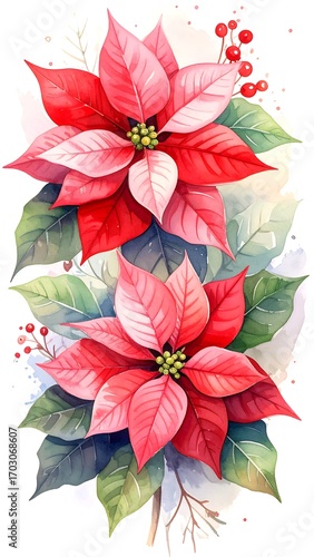 Watercolor poinsettia bouquet
