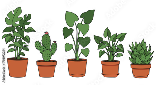 a row of various potted plants including cactus and leafy greens
