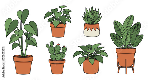 various potted plants arranged neatly in a group