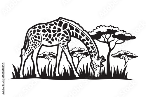Striking Black Giraffe Silhouette Eating Amongst Trees on White Background