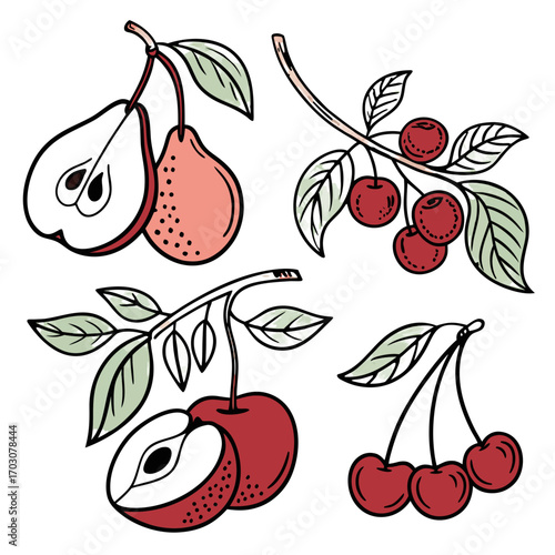 Hand drawn fruits, vector illustration