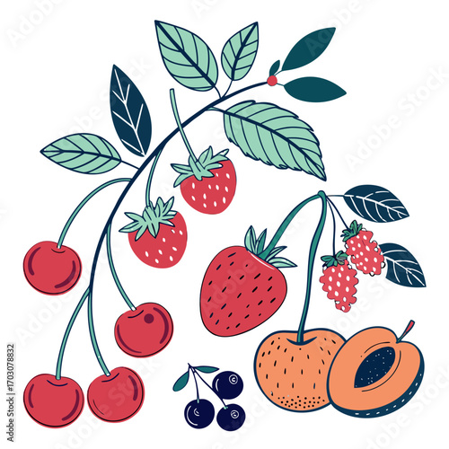 Fruit branch vector illustration