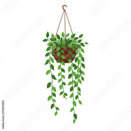 Hanging green plant with long trailing vines and leaves in a pot.