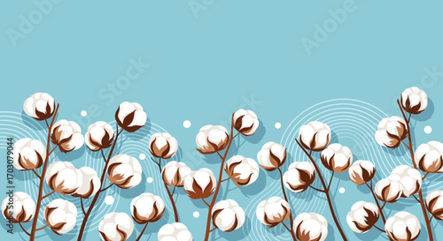 Delicate cotton stems with fluffy bolls against a soft blue background with subtle decorative swirls