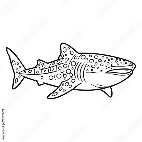 Detailed black and white line drawing of a large spotted shark swimming with open mouth and visible fins and tail
