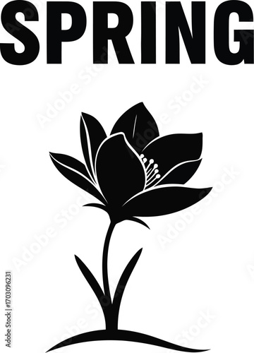 Spring word with flower illustration