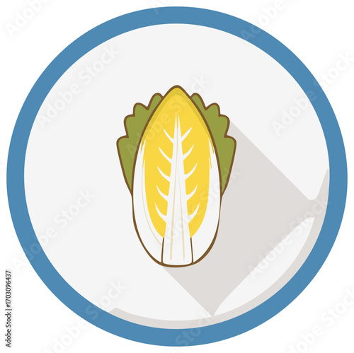 Napa Cabbage Vegetable Halved in a Flat Design Vector Icon Illustration