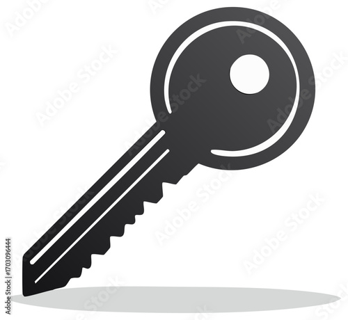 Silhouette Key Door Lock Security Unlock Access Safe Entry Solutions