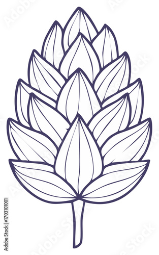 Hops Plant Cone Botanical Illustration for Beer Brewing and Craft Beverages Industry