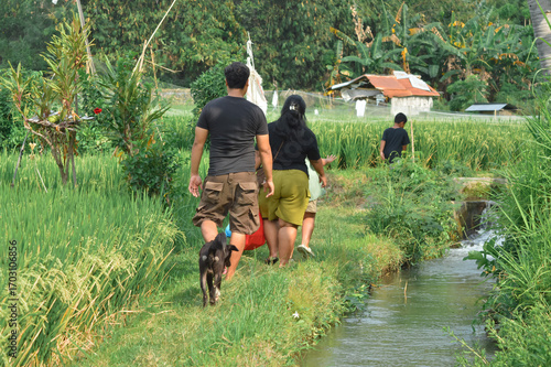 A boy leads his parents and sister along a rural grassy path, while their faithful dog follows at the back near rice fields and irrigation canal.