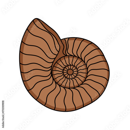 Illustration of a brown spiral seashell with a detailed, concentric pattern on a white background.