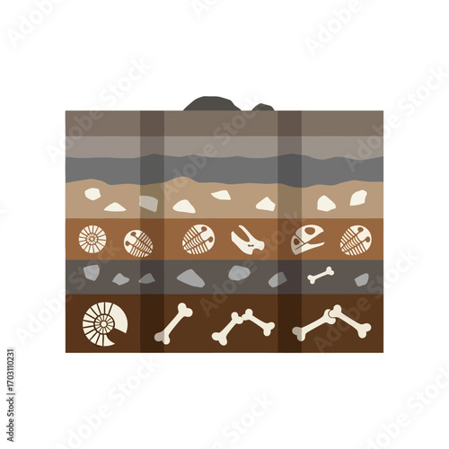 Illustration depicting geological layers with embedded fossils of ammonites, bones, and dinosaur skulls, showcasing paleontology and earth science.