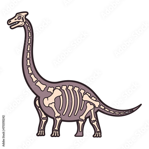 Sauropod dinosaur skeletal structure illustration, paleontology, prehistoric animal.