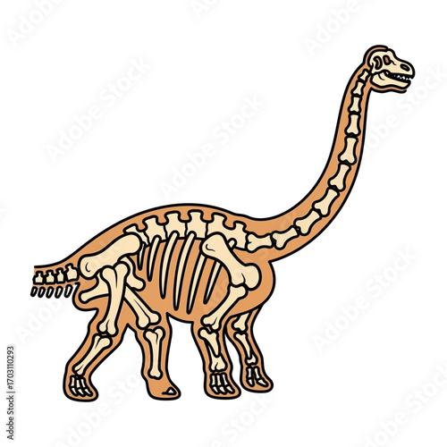 Diagram of a dinosaur's skeletal structure, showing bones.