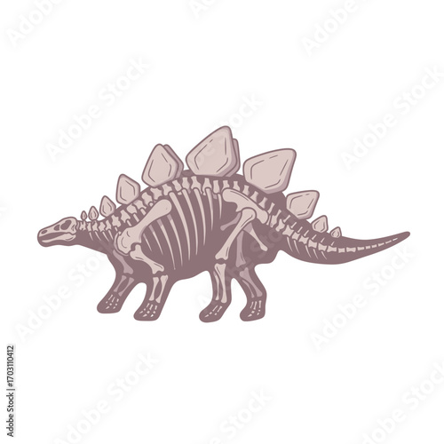 Artistic illustration of a Stegosaurus dinosaur skeleton, showcasing its bony structure in detail.
